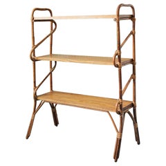 Vintage Bamboo and Rattan Shelf, France 1960
s