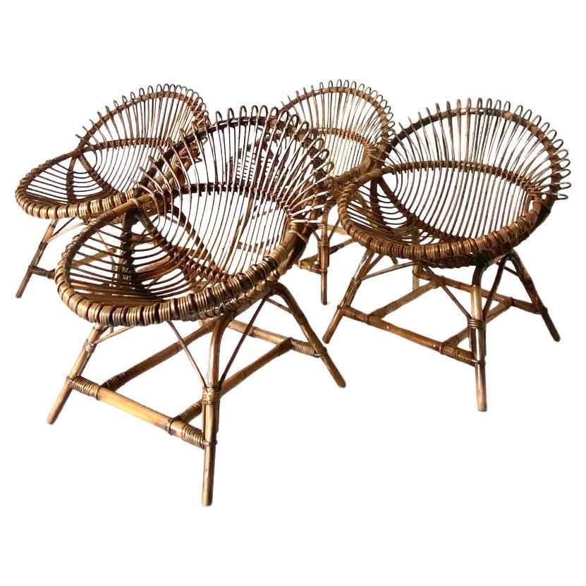 Mid-Century moderno Sedie a uovo in bambù vintage, Franco Albini, Italia anni '60, set di quattro sedie
