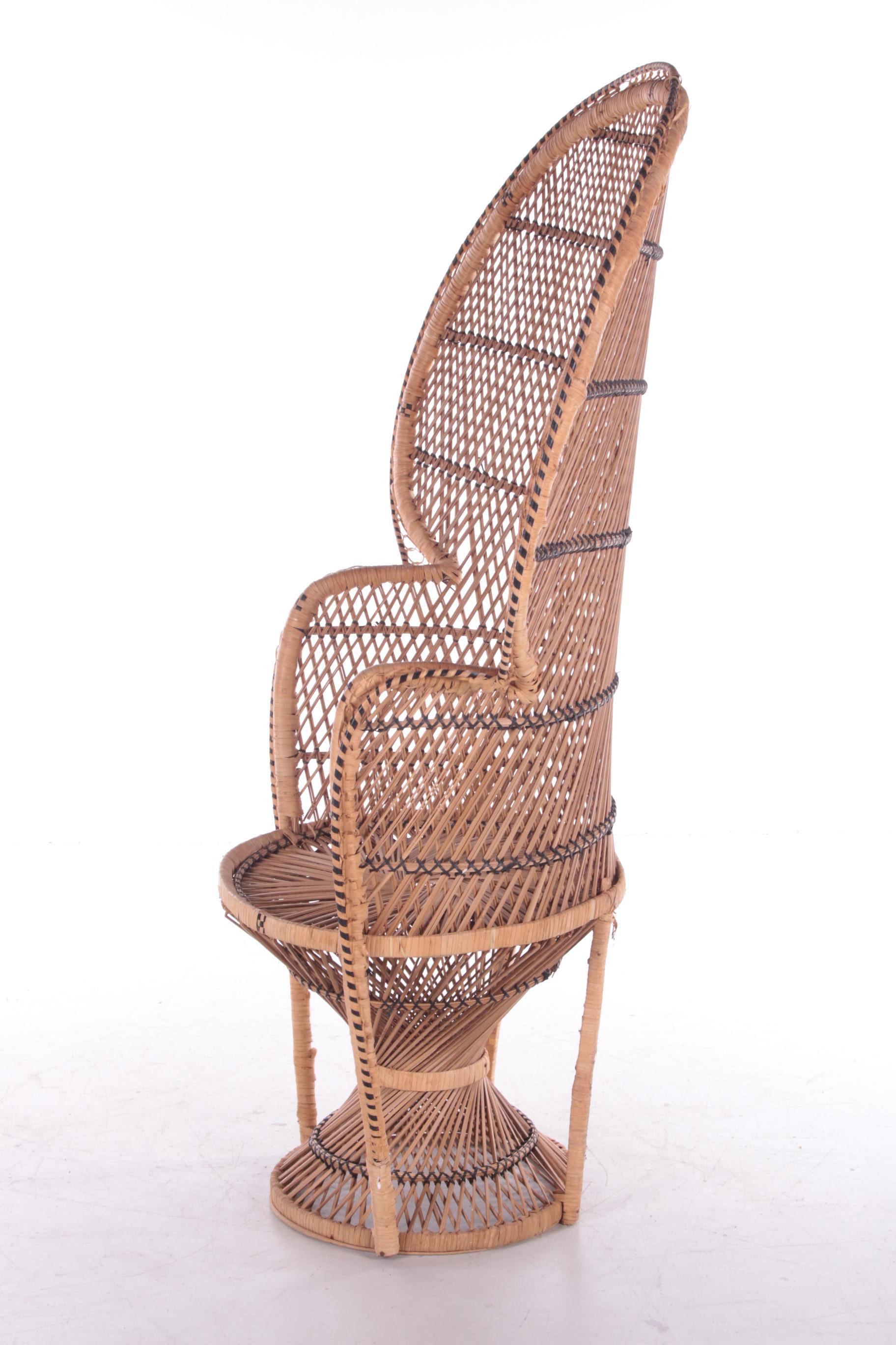 French Vintage Bamboo Peacock Chair Emanuelle Chair, 1970