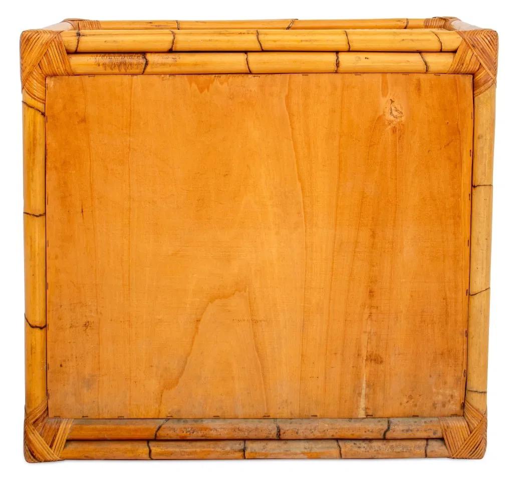 Vintage Bamboo & Rattan Two-Door Cabinet In Good Condition For Sale In Elkton, MD