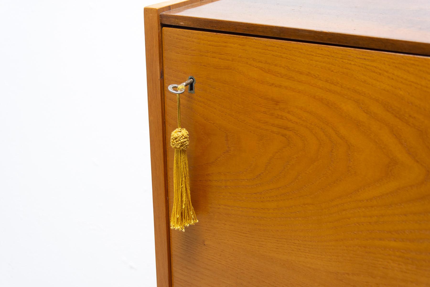 Vintage Bar by František Mezulánik, 1970´S, Czechoslovakia For