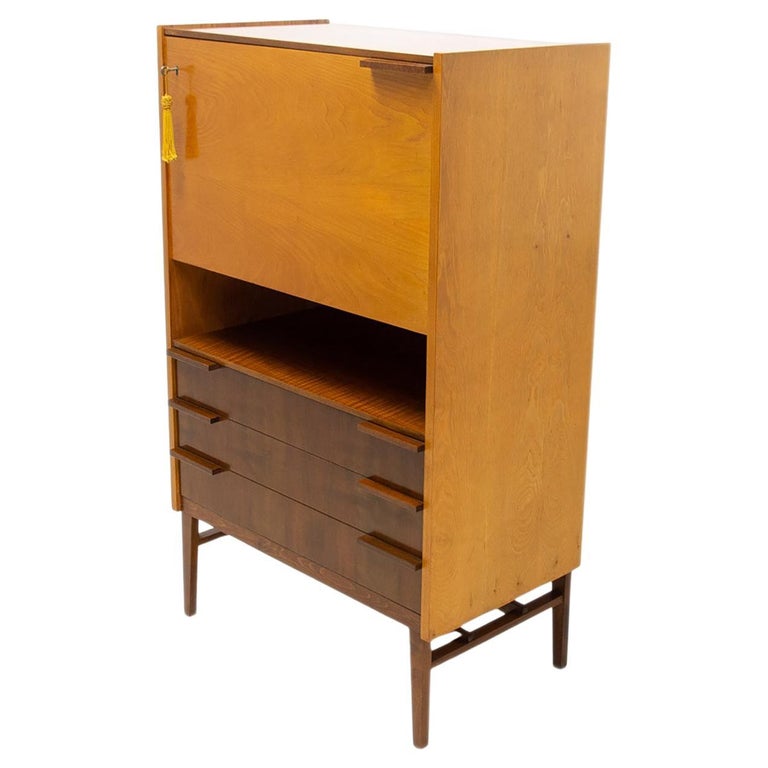 Vintage Bar by František Mezulánik, 1970´S, Czechoslovakia For