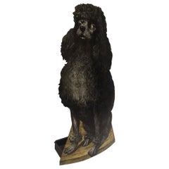 Vintage 'Barbone' Dog Umbrella Stand by Piero Fornasetti, Italy, circa 1960