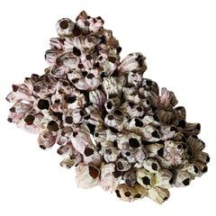 Esculturas