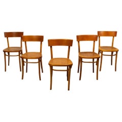 Vintage Bauhaus Beech Bentwood Dining Chairs w/Cane Seats by Thonet Set of 5