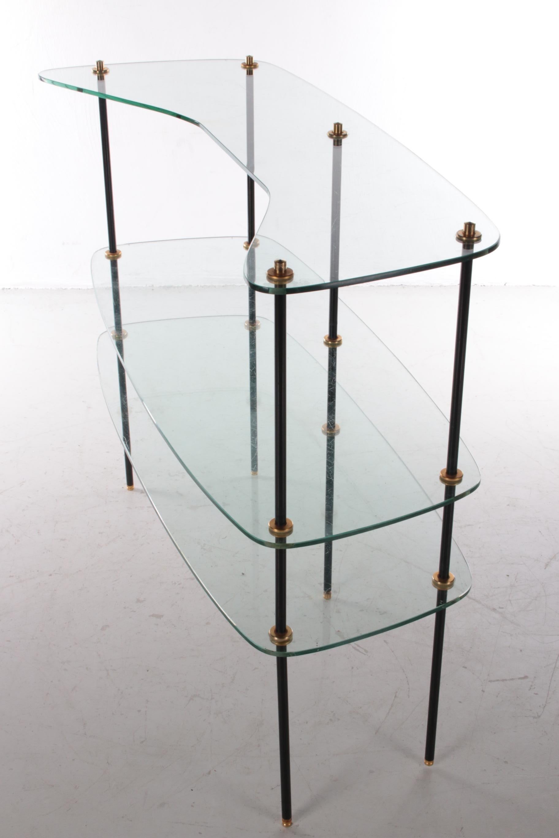 Vintage Beautiful Glass Wall Rack Made in France, 1960s For Sale 2