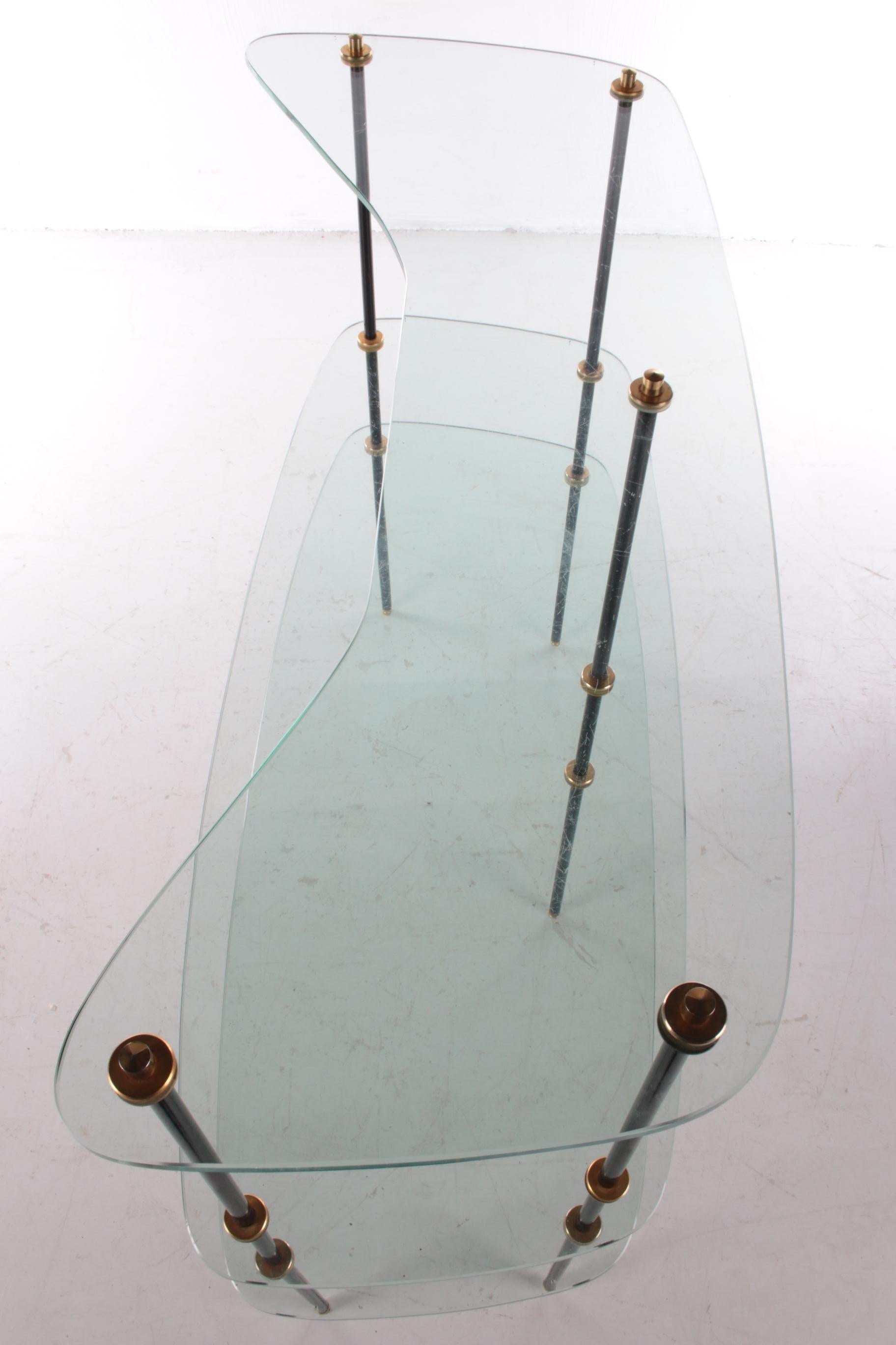 Vintage Beautiful Glass Wall Rack Made in France, 1960s For Sale 4