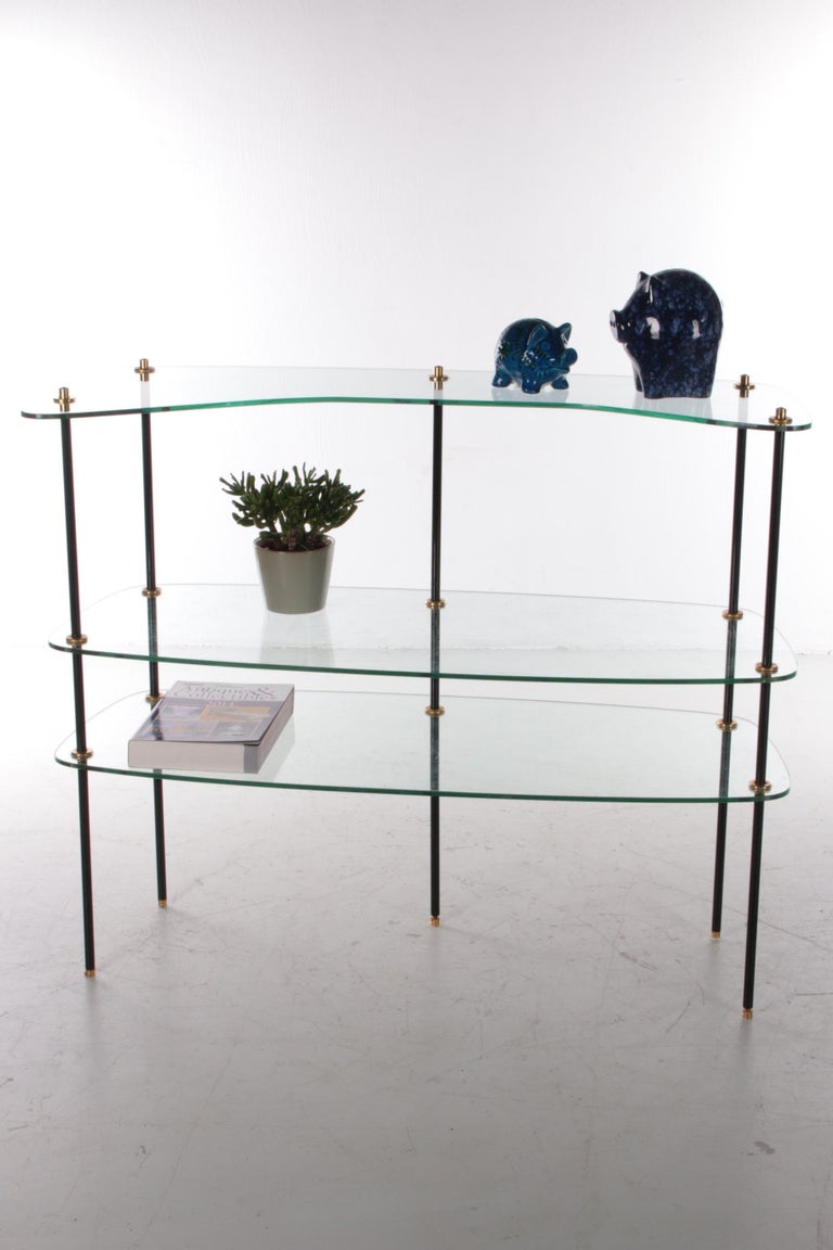 Vintage Beautiful Glass Wall Rack Made in France, 1960s For Sale at 1stDibs