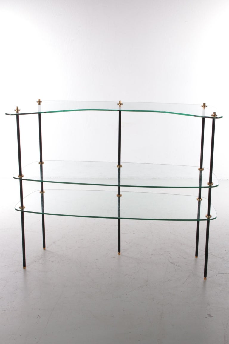 Vintage Beautiful Glass Wall Rack Made in France, 1960s For Sale at 1stDibs