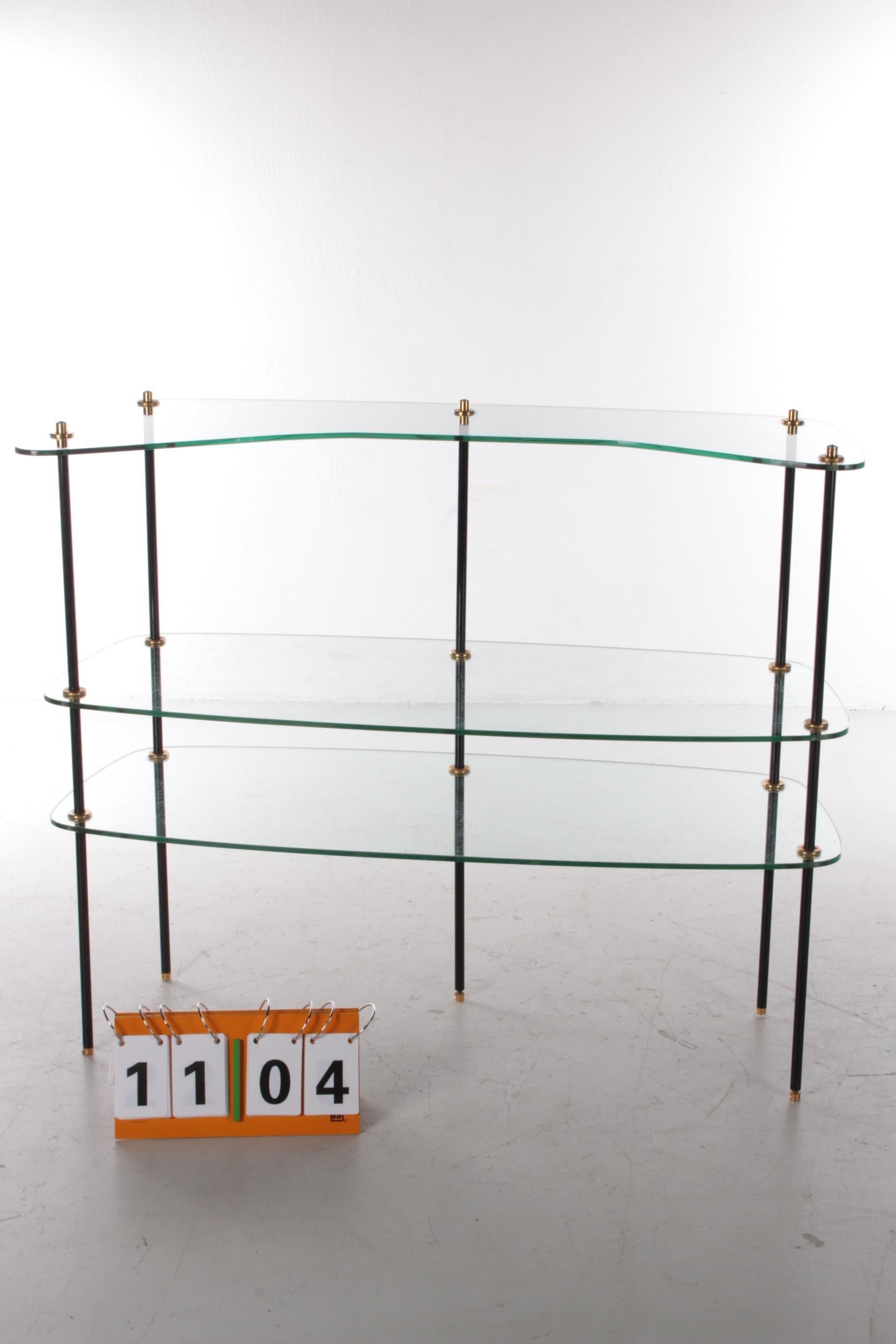 Mid-Century Modern Vintage Beautiful Glass Wall Rack Made in France, 1960s For Sale