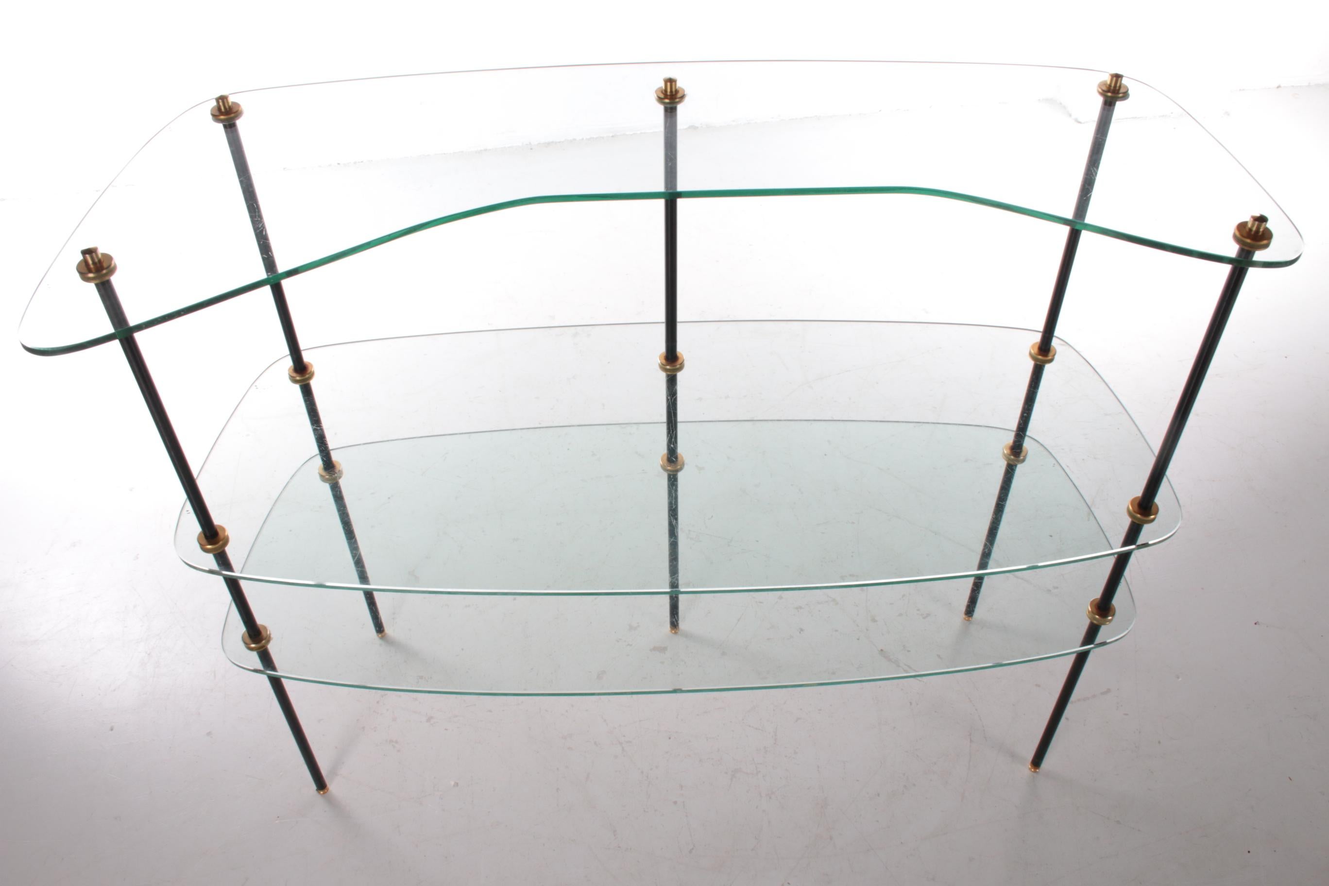 French Vintage Beautiful Glass Wall Rack Made in France, 1960s For Sale