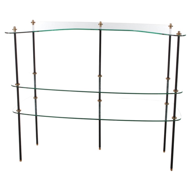 Vintage Beautiful Glass Wall Rack Made in France, 1960s For Sale at 1stDibs