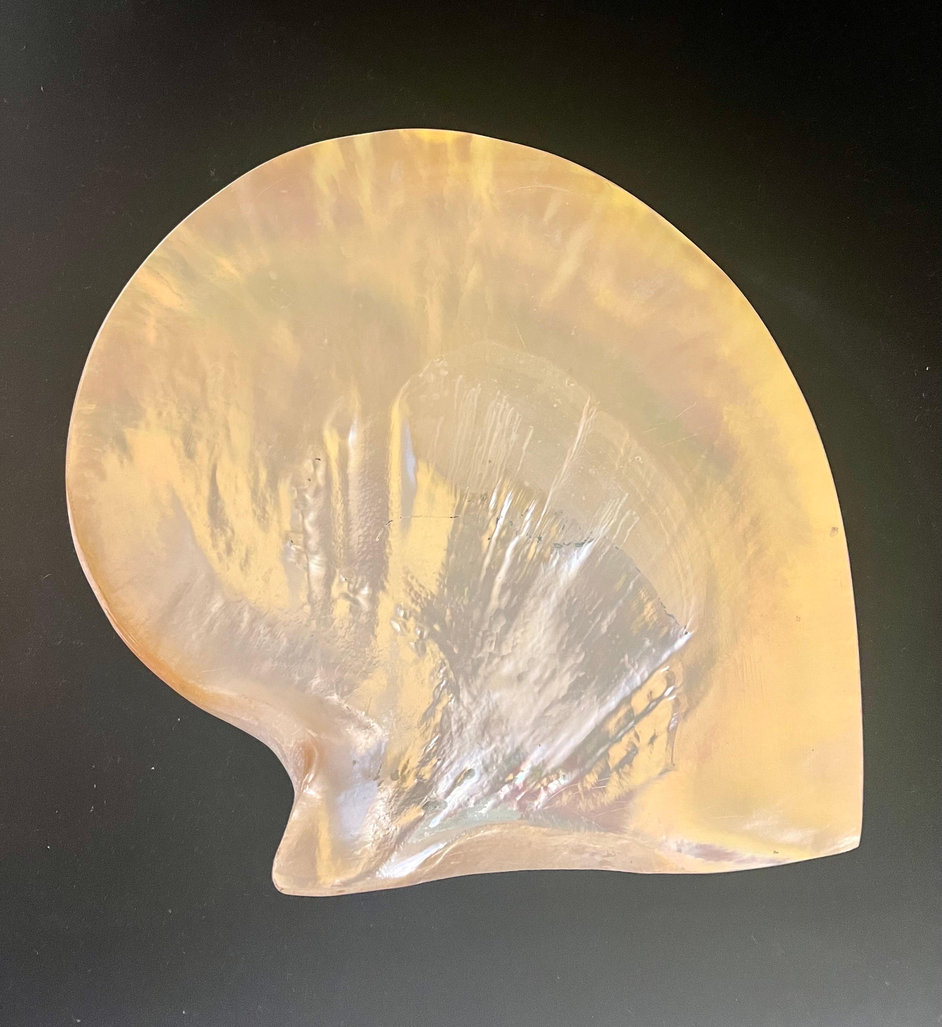 Hollywood Regency Vintage Beautiful Mother of Pearl Irredescent Large Mussel Clam Half Shell For Sale