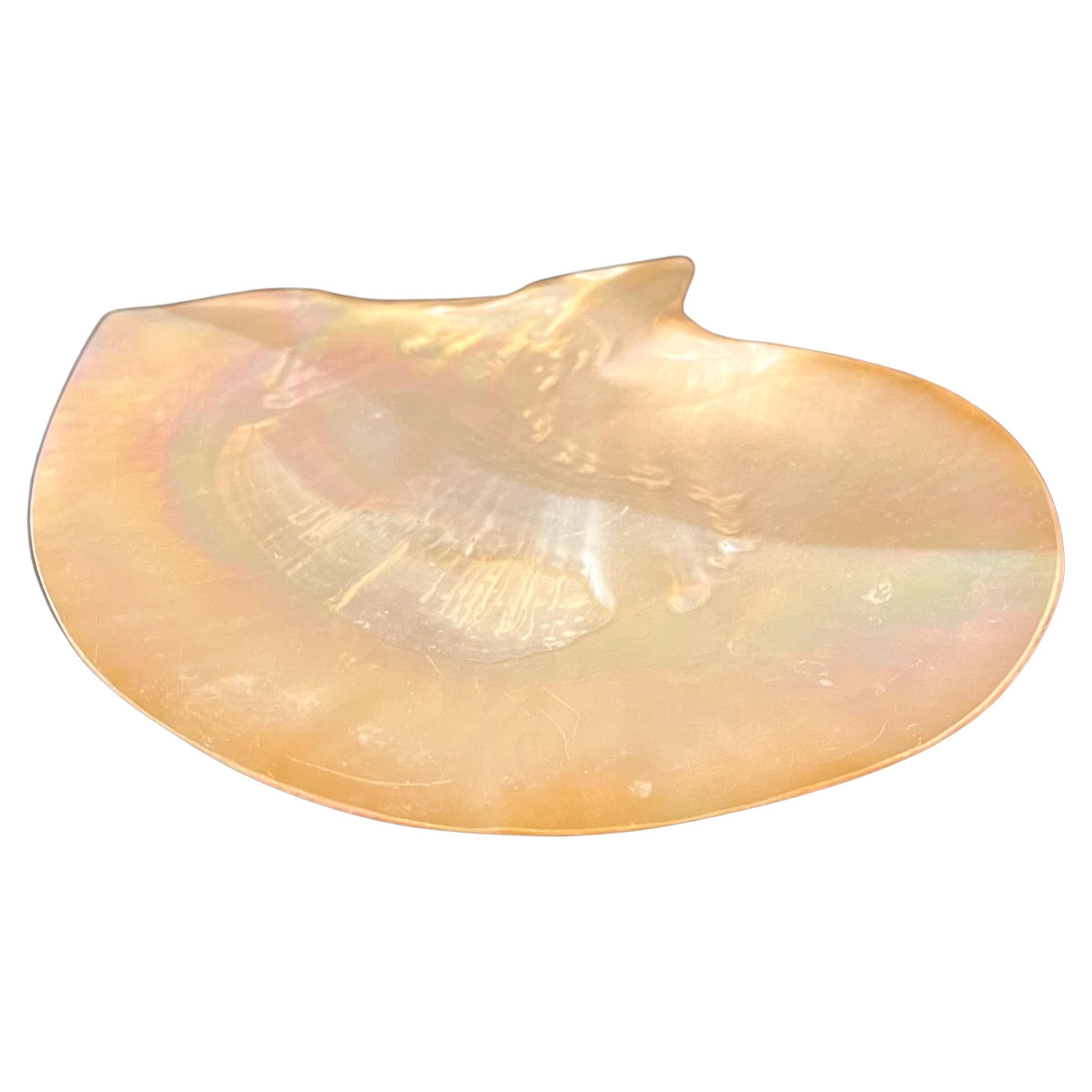 Vintage Beautiful Mother of Pearl Irredescent Large Mussel Clam Half Shell For Sale