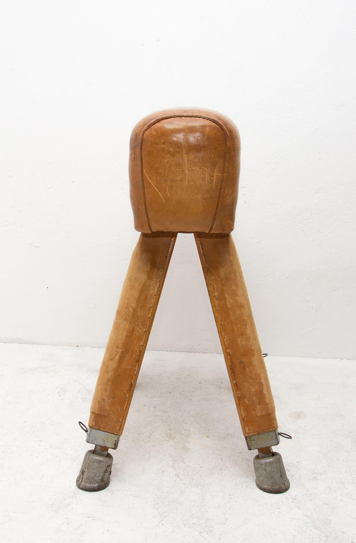 Vintage Beech, Metal and Leather Gym Pommel Horse, 1930s 3