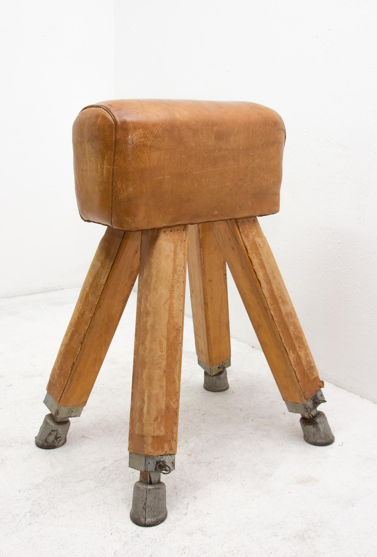 Vintage Beech, Metal and Leather Gym Pommel Horse, 1930s 5