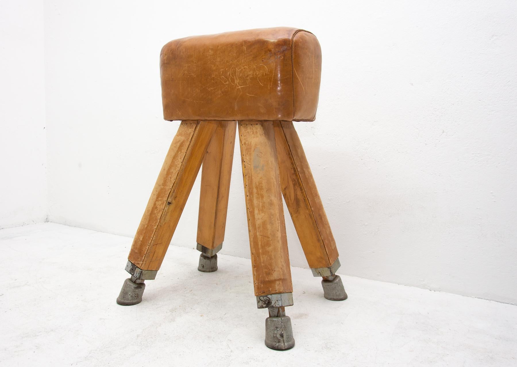 Industrial Vintage Beech, Metal and Leather Gym Pommel Horse, 1930s