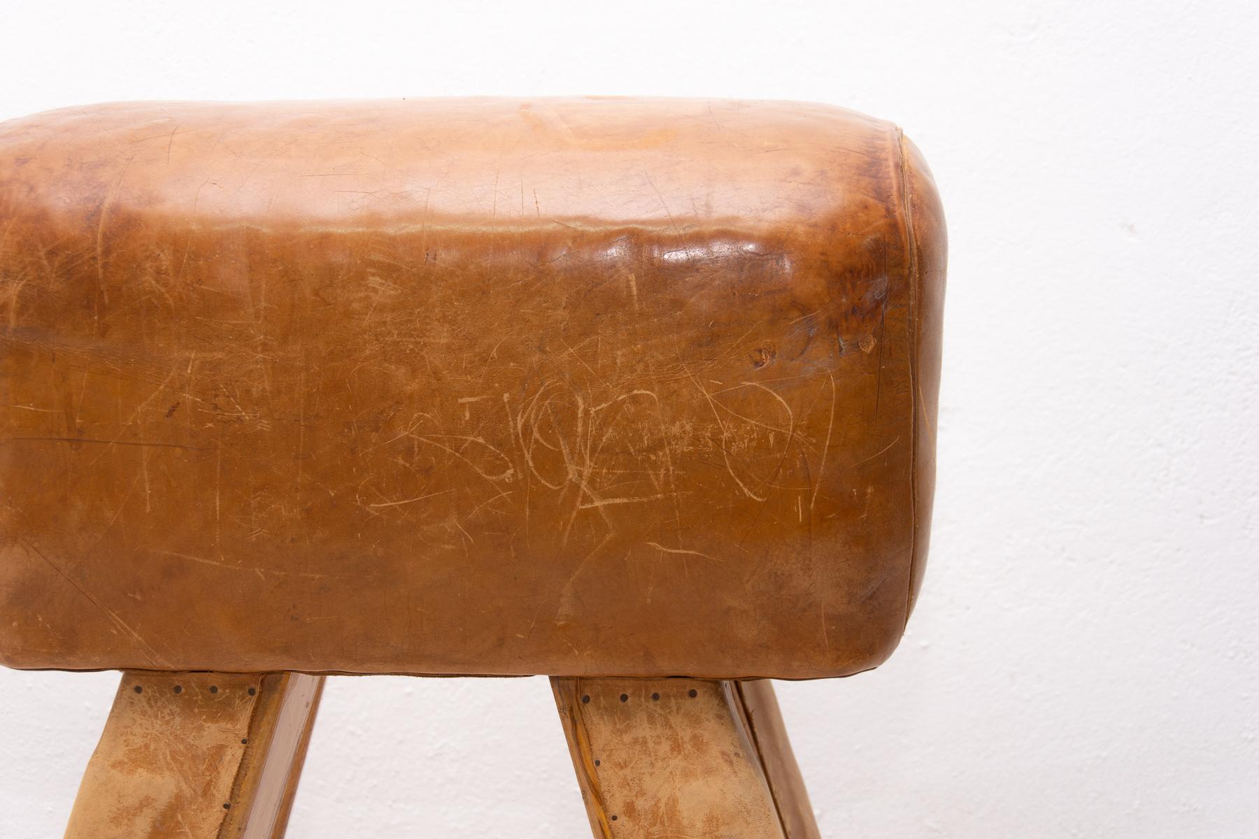 Cowhide Vintage Beech, Metal and Leather Gym Pommel Horse, 1930s