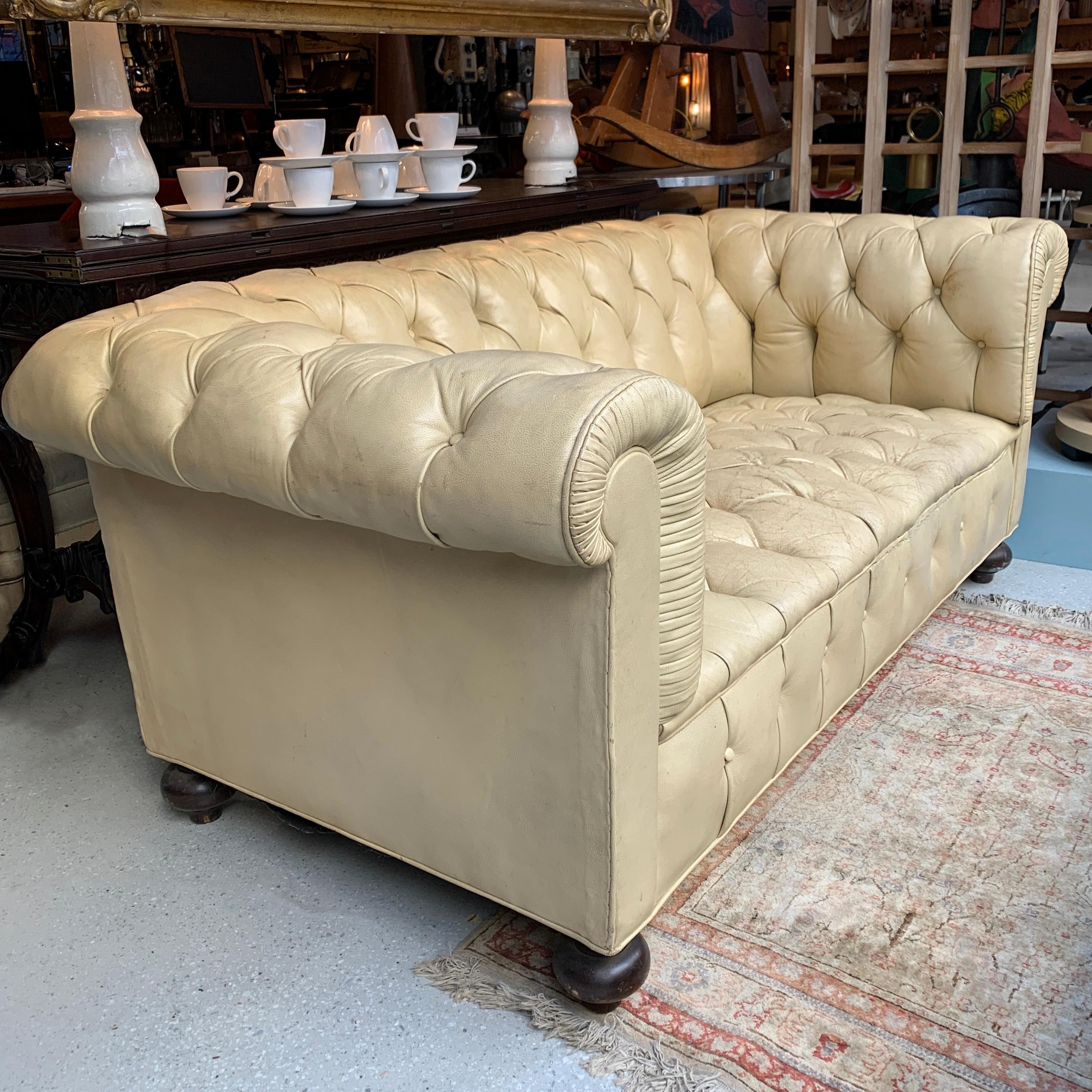 Nicely weathered, vintage, fully tufted, ecru, beige leather, Chesterfield sofa with round maple feet.