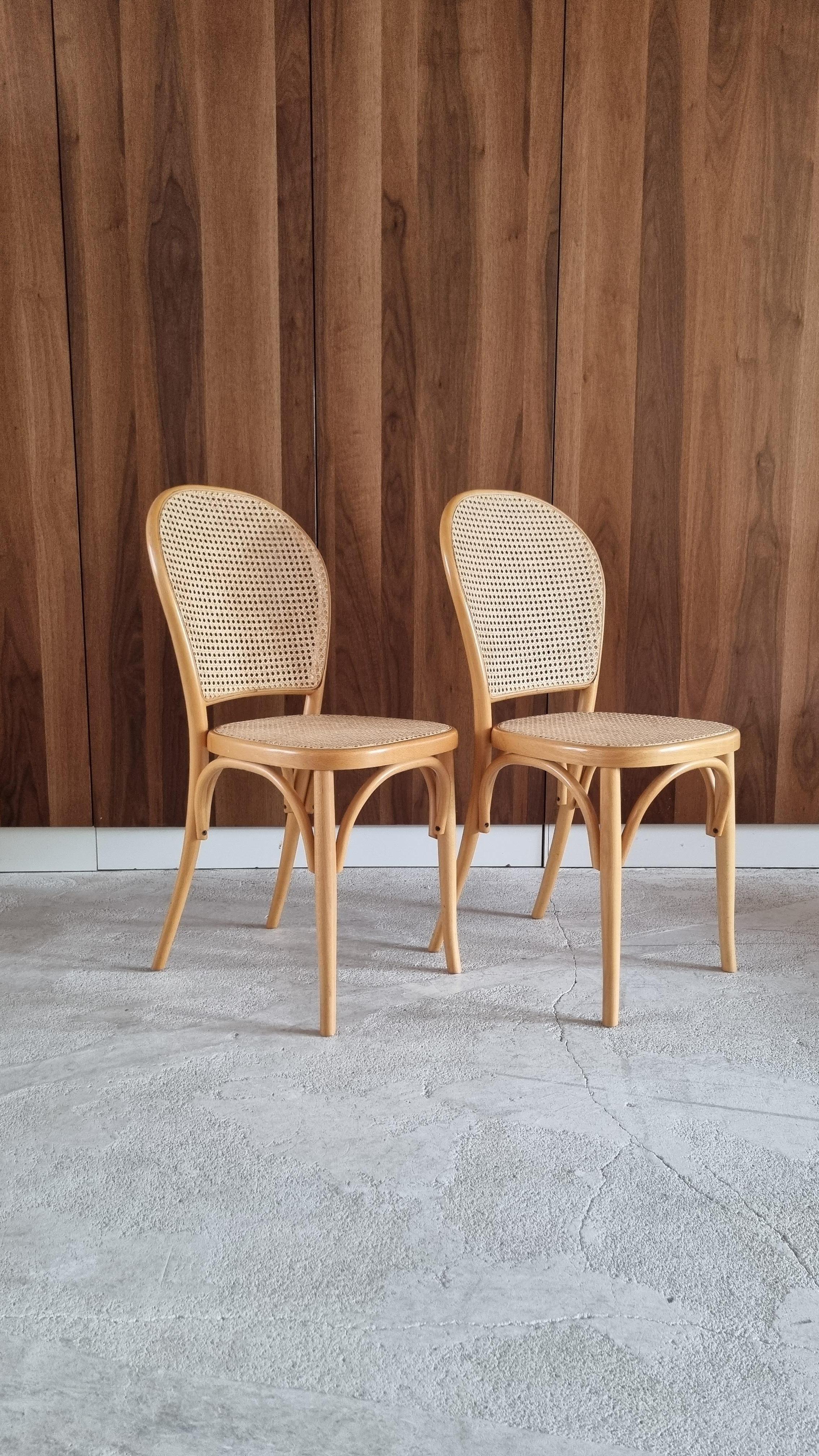 Vintage Bentwood & Cane Wood Dining Chairs, 1980s 7