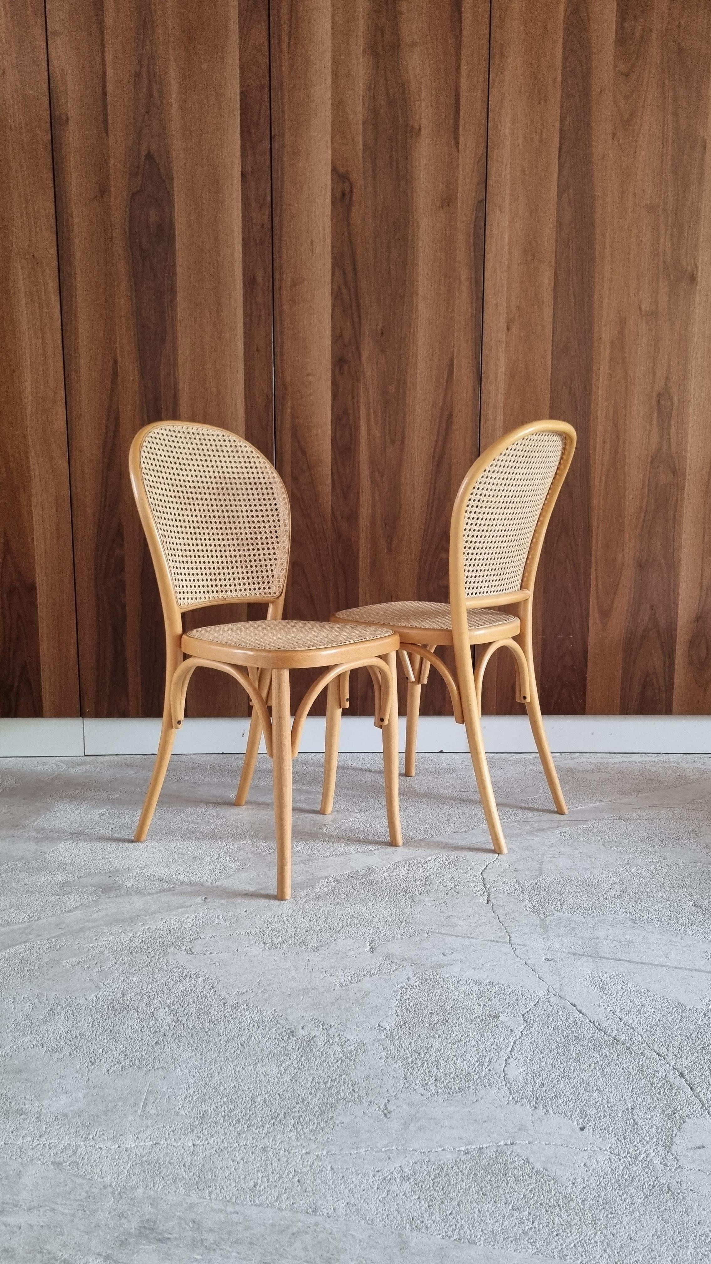 Vintage Bentwood & Cane Wood Dining Chairs, 1980s 9