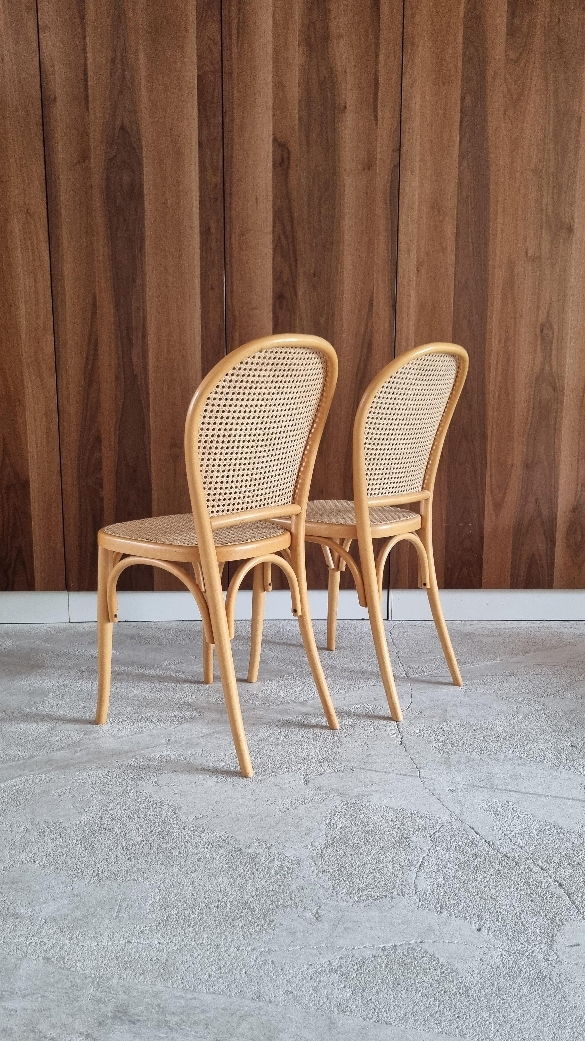 Vintage Bentwood & Cane Wood Dining Chairs, 1980s 10