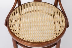 Vintage Bentwood Chair by Fischel Austria 1940s-1950s  Restored Beech Wood