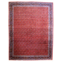 Vintage Bidjar Rug 9'3'' x 12'5''