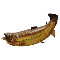 Große große Regenbogenhose Wandhalterung Taxidermie Real Skin Wanddekor, Vintage