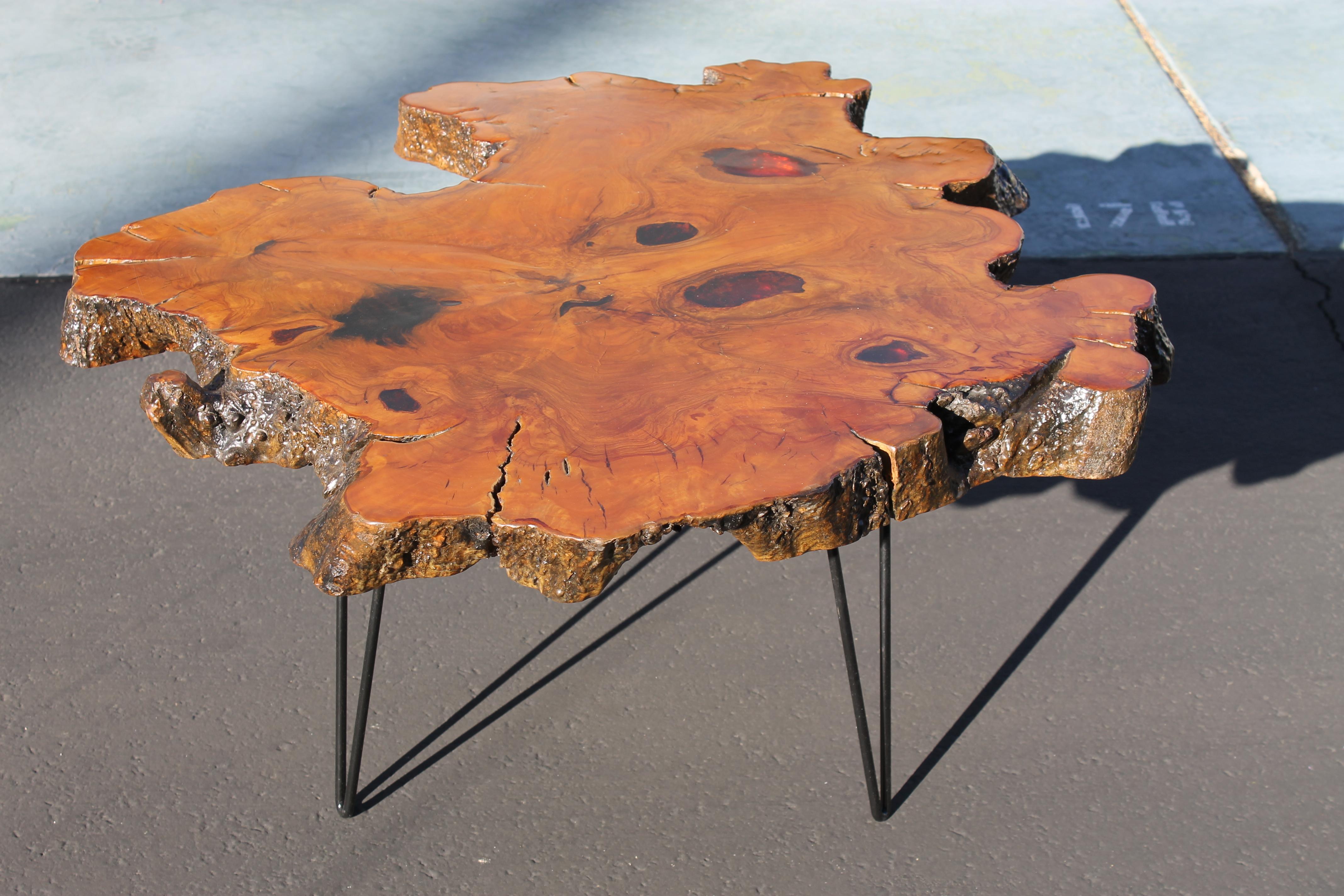 Thick burl slab table with hairpin legs, circa 1960s. This table has an interesting shape and features unusual orange resin 