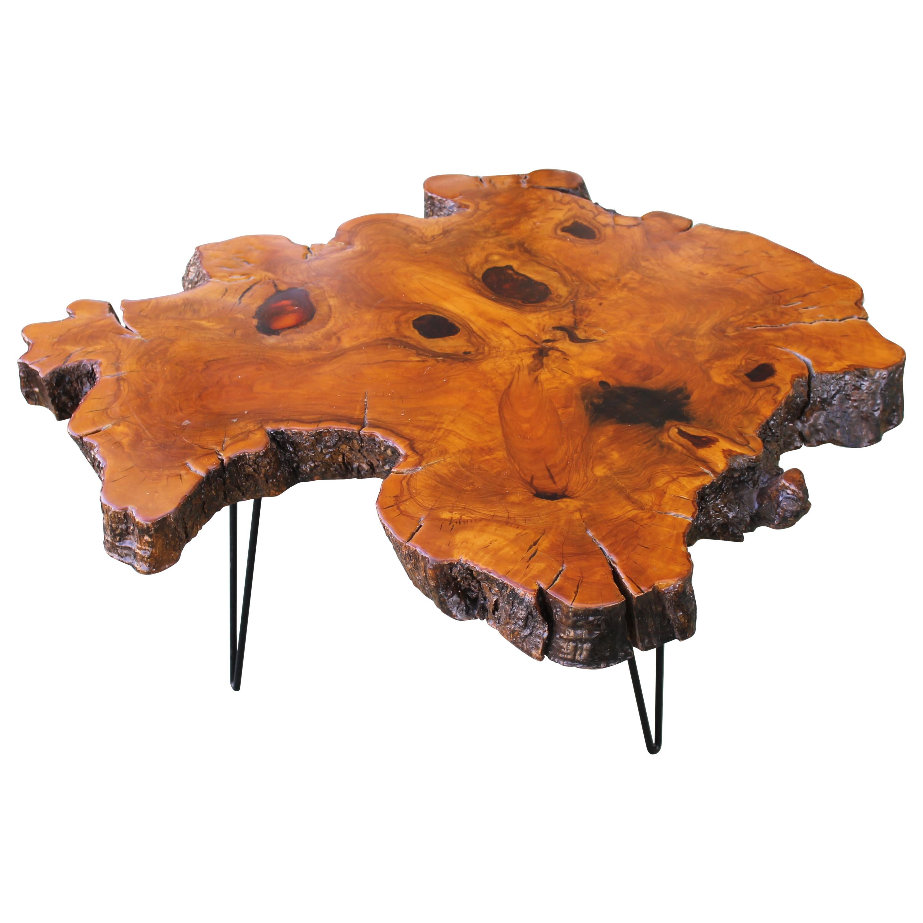 Vintage Big Sur Cypress Burl Slab Table