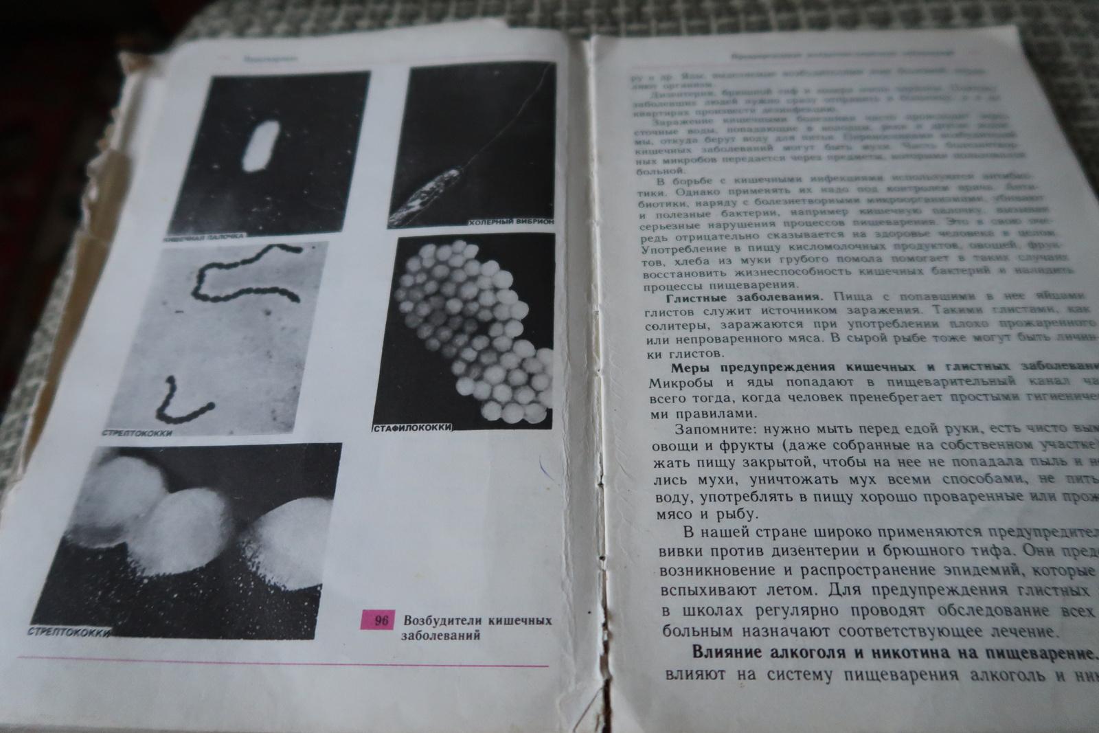 Vintage Biology Textbook: 9th Grade, Circa 1994 - in Russian, 1J127 For Sale 3
