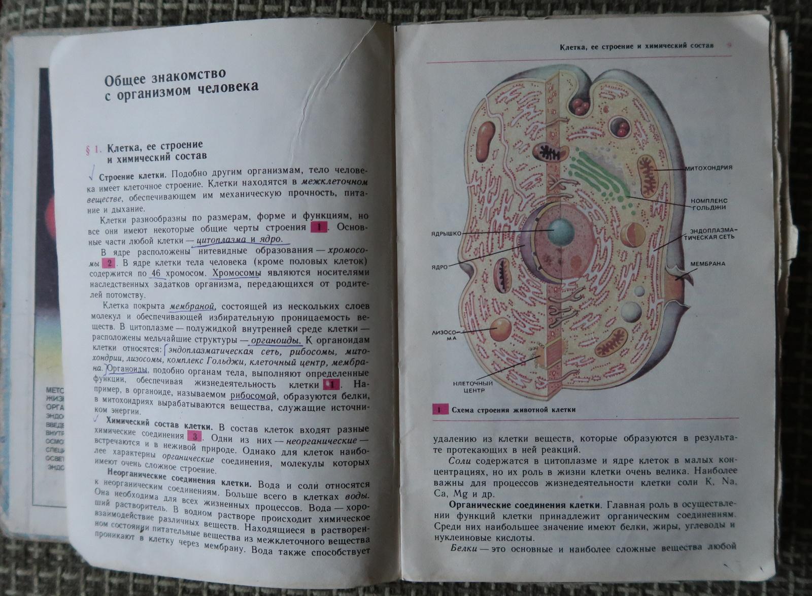 Vintage Biology Textbook: 9th Grade, Circa 1994 - in Russian, 1J127 In Good Condition For Sale In Bordeaux, FR