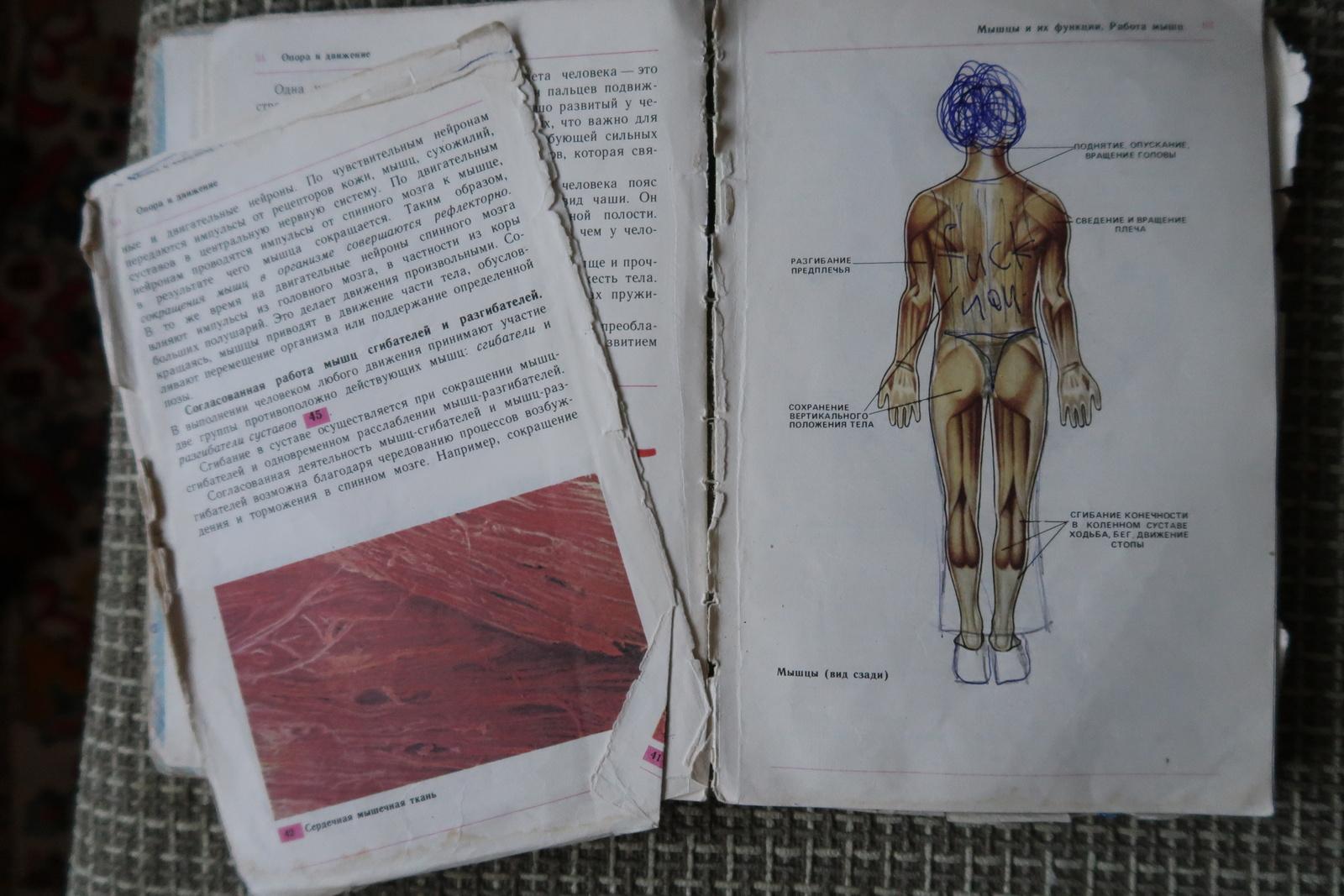 Paper Vintage Biology Textbook: 9th Grade, Circa 1994 - in Russian, 1J127 For Sale