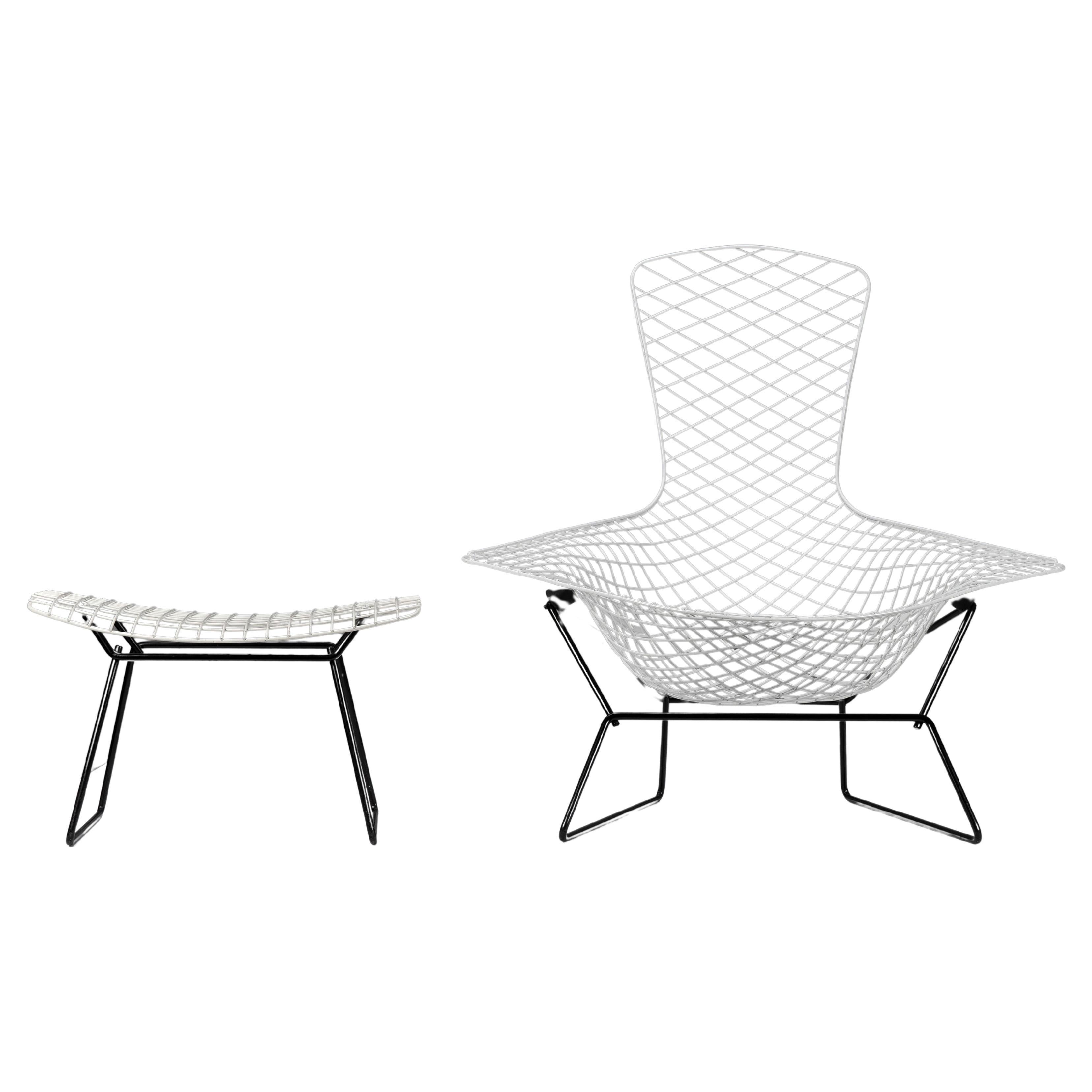 Bird Lounge Chair and Ottoman by Harry Bertoia for Knoll at 1stDibs