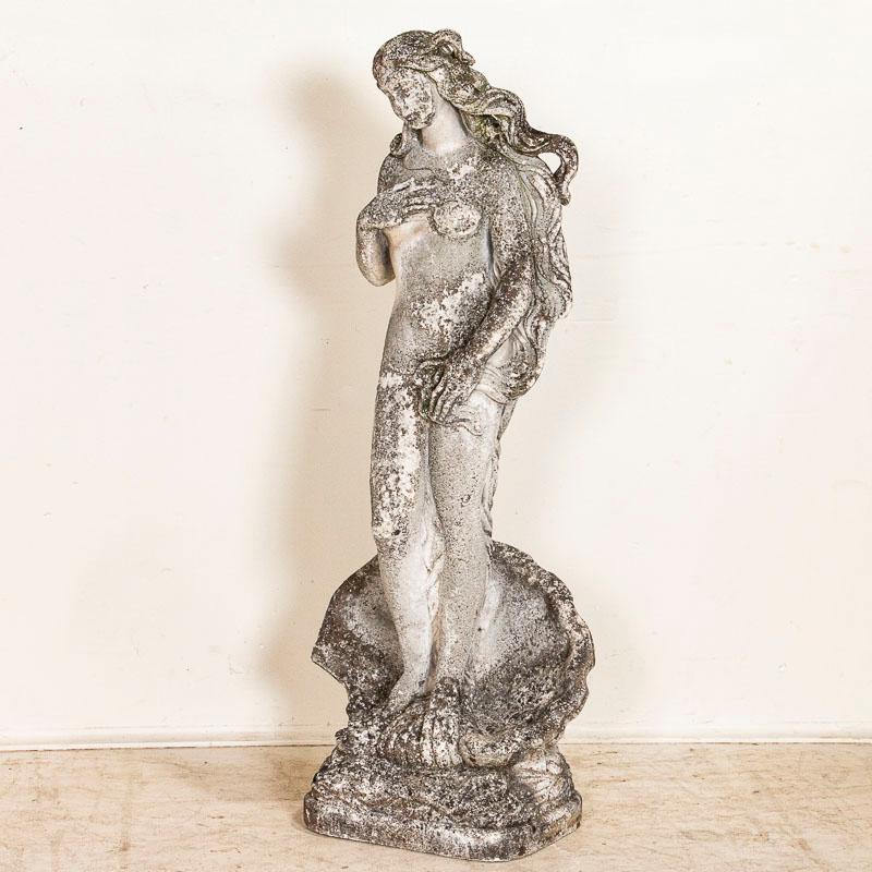 This vintage cement garden statue is the well recognized image of the birth of Venus. It has aged beautifully with darker sections and lichen through the years, adding to its authentic vintage appeal. Knicks and pitting is commensurate with age.