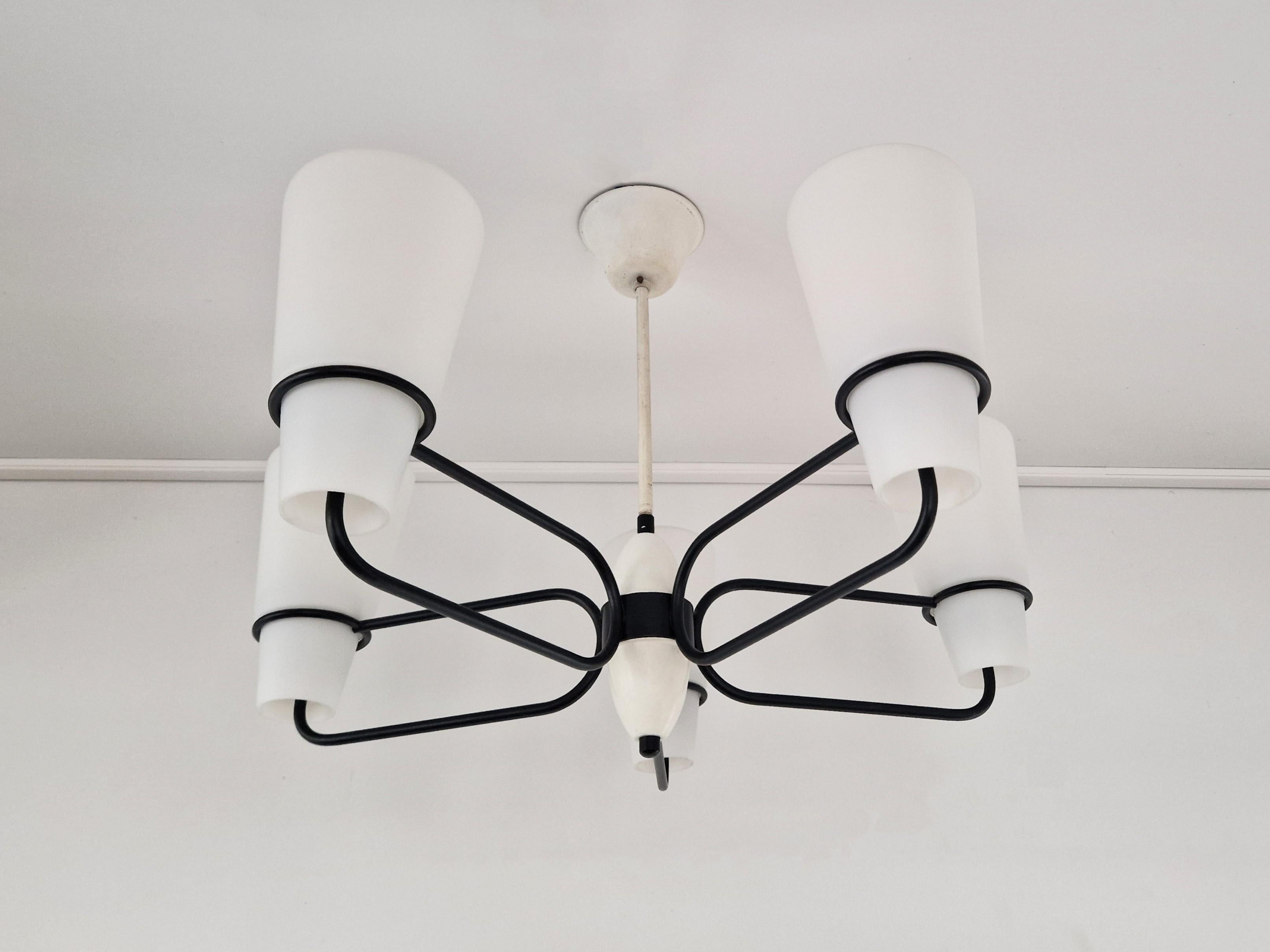 This is a very elegant chandelier from the 1950's or 1960's. It has black painted arms holding 5 opaline glass chalices that gives a beautiful diffused illumination. It is very likely a Dutch design with Italian influences. A very modern and