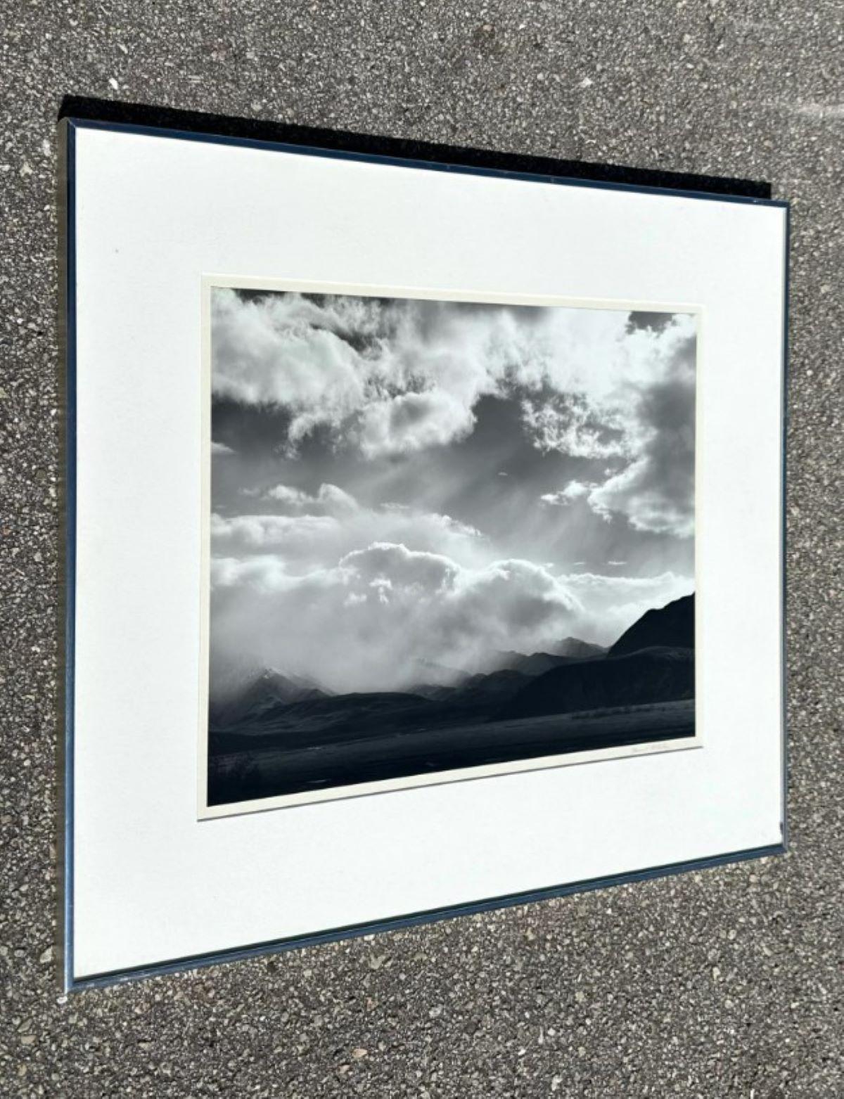 Vintage Black and White Photograph of Landscape In Good Condition For Sale In west palm beach, FL