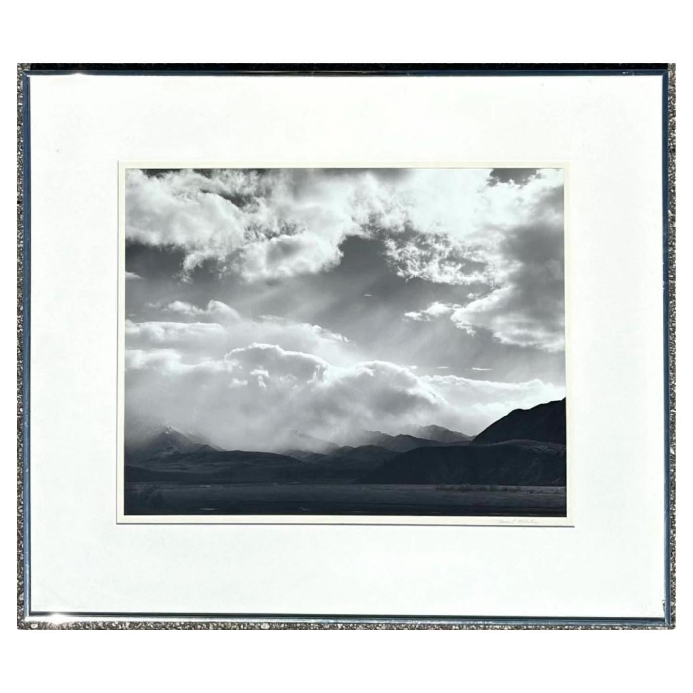 Vintage Black and White Photograph of Landscape For Sale