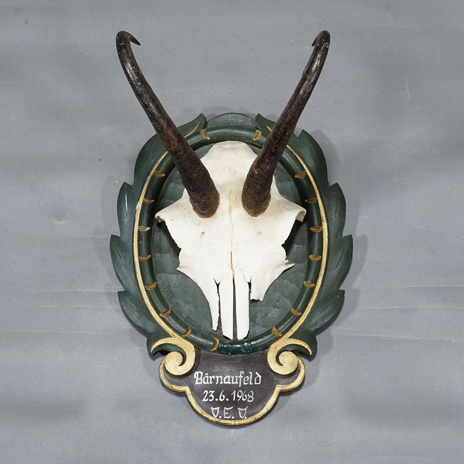 Vintage Black Forest Chamois Trophy on Carved and Painted Plaque In Good Condition In Berghuelen, DE