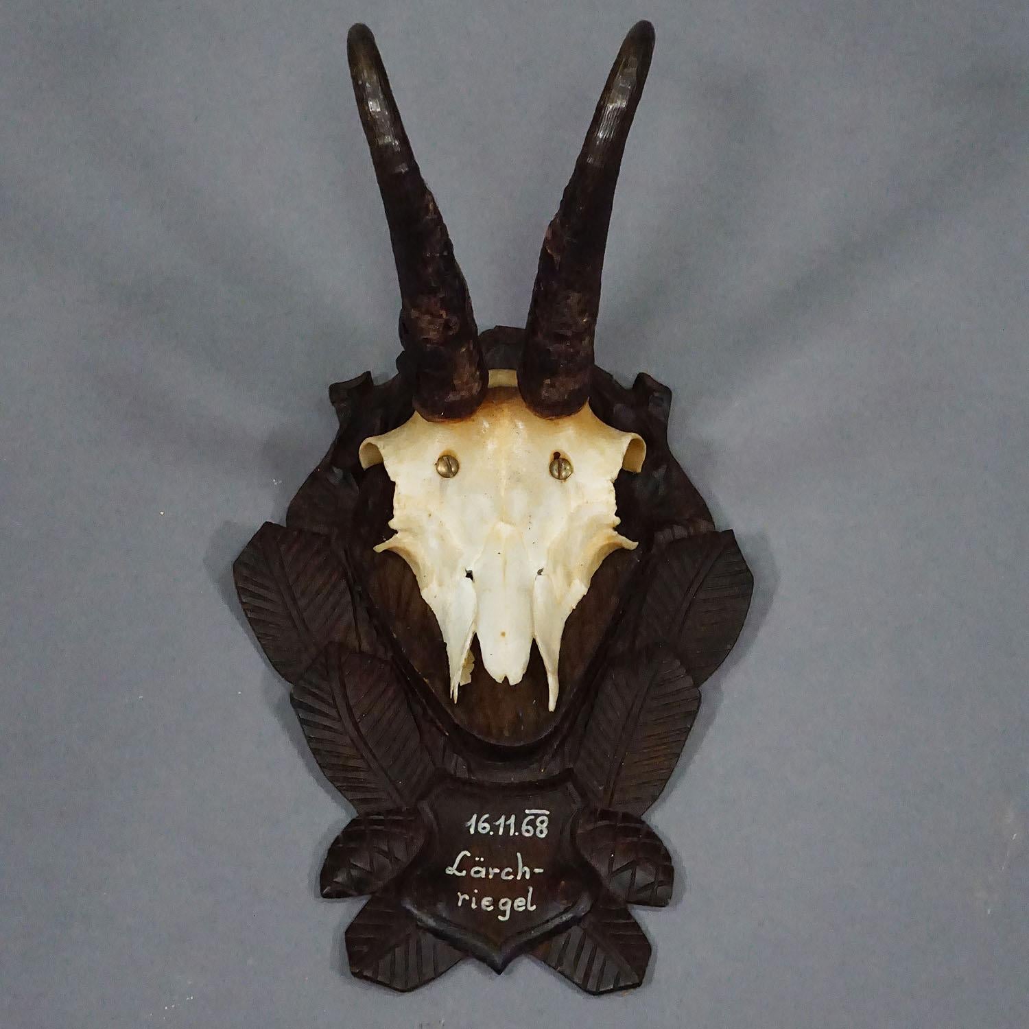 Vintage Black Forest Gämsen Trophäe auf geschnitzten Plaque 1968

Eine dekorative Trophäe der Gämse (Rupicapra rupicapra), montiert auf einer geschnitzten Holztafel. Die Plakette ist schwarz lackiert und trägt eine handgemalte Inschrift mit den