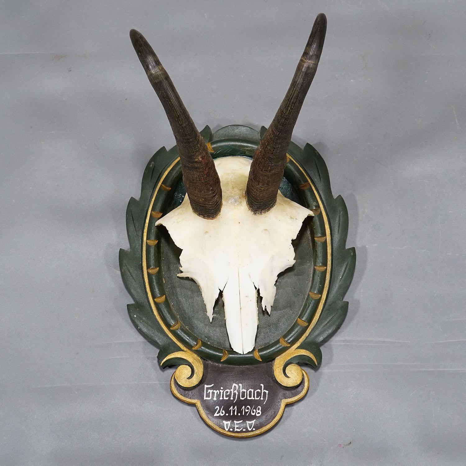 Vintage Black Forest Chamois Trophy on Carved Plaque 1968 In Good Condition For Sale In Berghuelen, DE