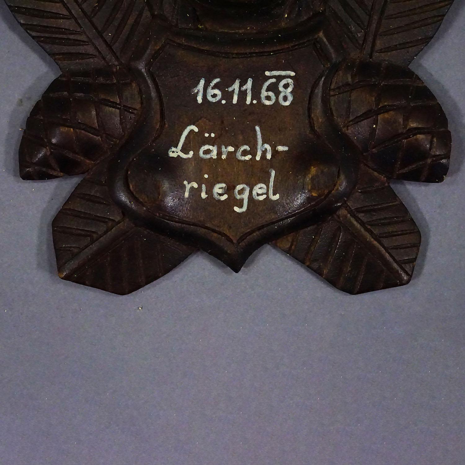 Vintage Black Forest Gämsen Trophäe auf geschnitzten Plaque 1968 (Geweih) im Angebot