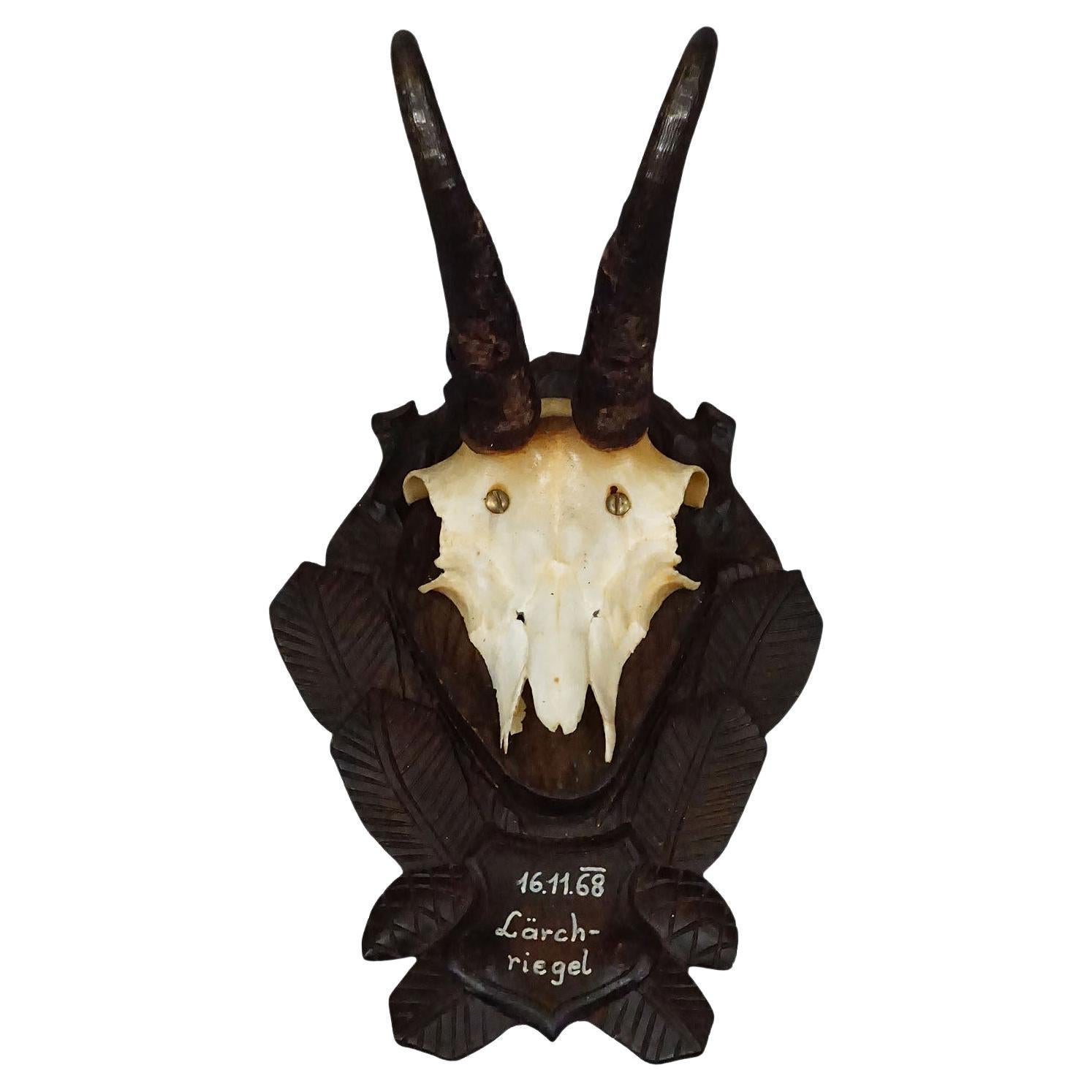 Trofeo Vintage Black Forest Gamuza en Placa Tallada 1968