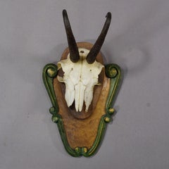 Vintage Black Forest Chamois Trophy on Carved Plaque ca. 1950