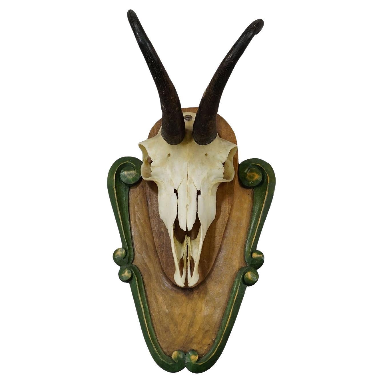 Vintage Black Forest Trophée Chamois sur Plaque Sculptée ca. 1950