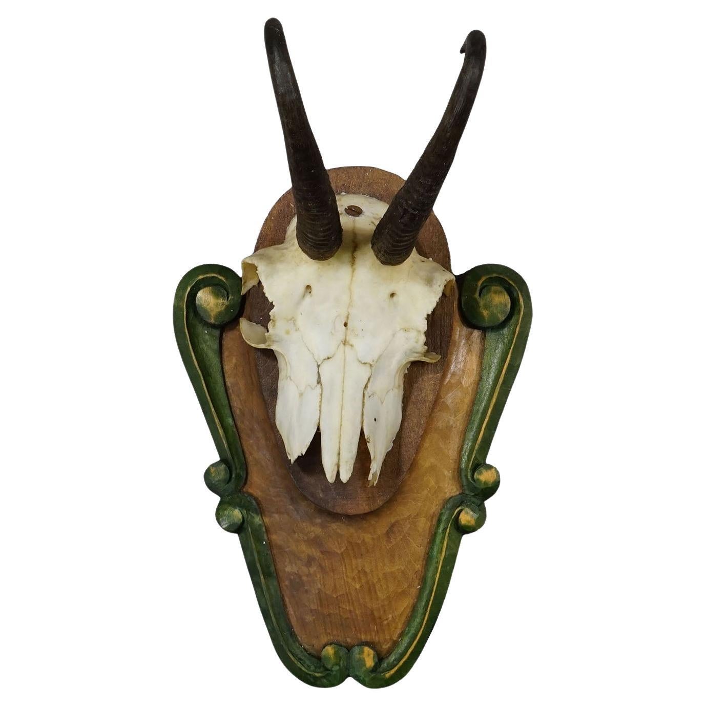 Vintage Black Forest Trophée Chamois sur Plaque Sculptée ca. 1950