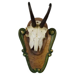 Vintage Black Forest Chamois Trophy on Carved Plaque ca. 1950