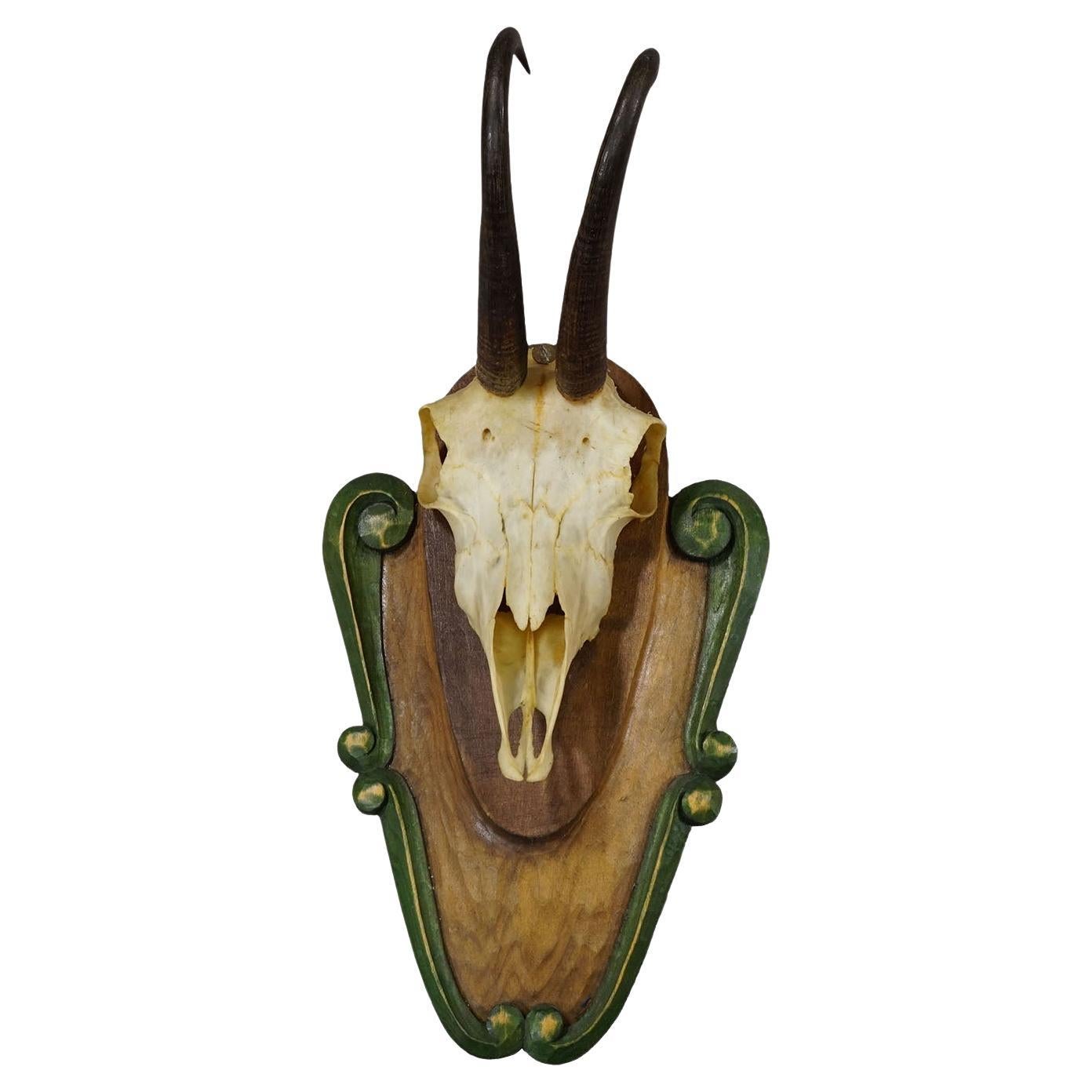 Vintage Black Forest Trophée Chamois sur Plaque Sculptée ca. 1950