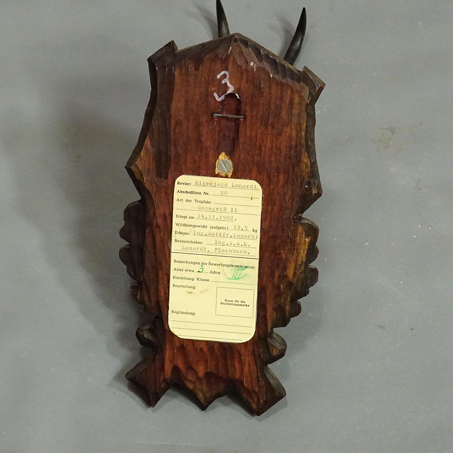 Wood Vintage Black Forest Chamois Trophy on Carved Plaque